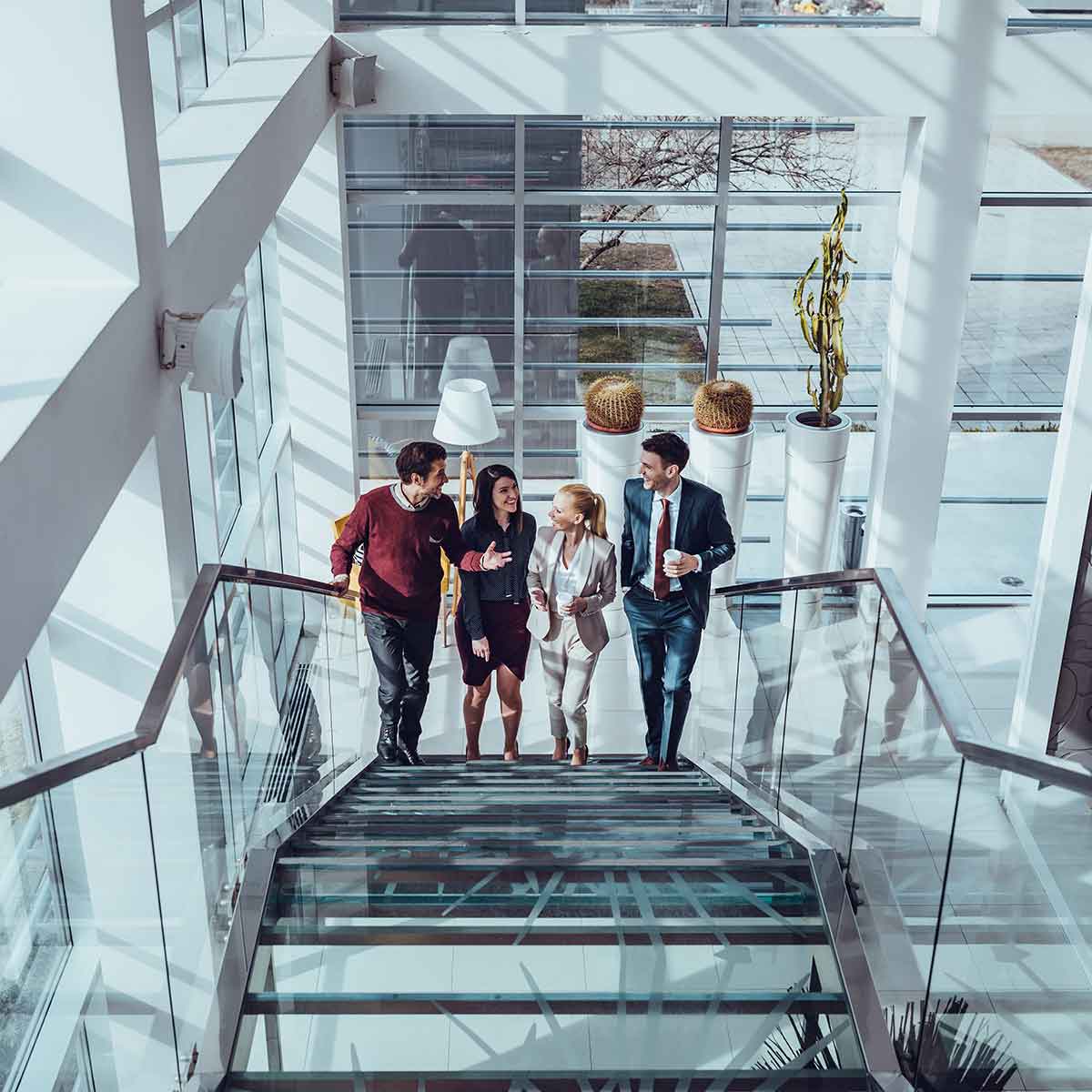 Grant Thornton's experience